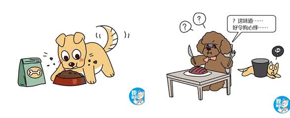 幼犬犬粮和奶糕是同一个东西吗?有什么区别?又能不能代替呢?