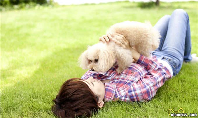 为什么女孩子都喜欢养贵宾犬?这六点，哪点戳中你的心