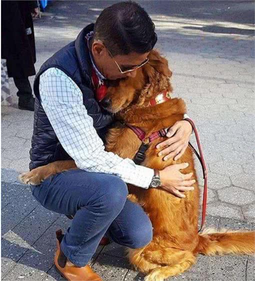 通人性的几种狗,养过以后你会说:真香
