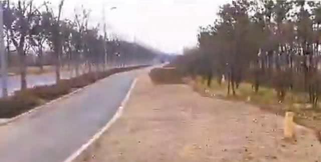 小狗一直在河边流浪，不肯离开，知道原因后哭了