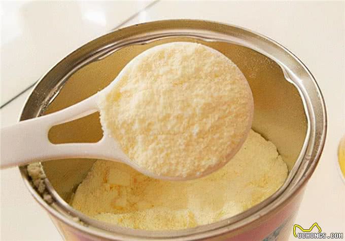 家有爱宠:幼犬萨摩耶吃什么好?萨摩耶喂养的注意事项