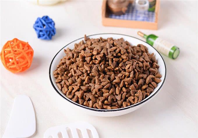 家有爱宠:幼犬萨摩耶吃什么好?萨摩耶喂养的注意事项