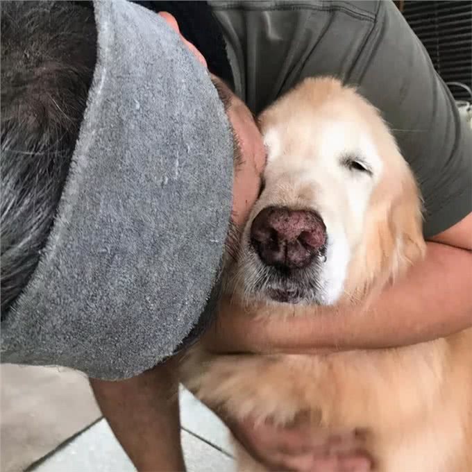 和狗关系再亲密,也不能做的几件事,可能会让它恨你