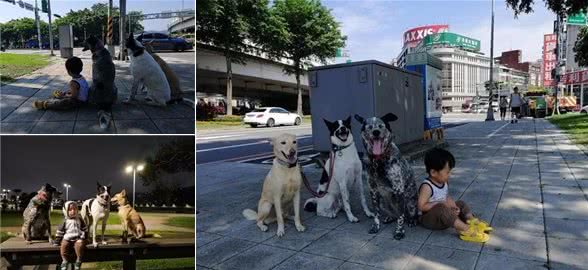 带狗狗出门遇红灯，妈妈喊指令让它们坐下，却发现多了一个小身影
