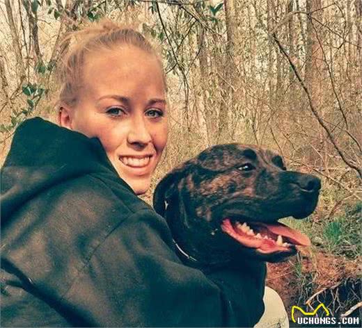 深度分析:为什么我的狗会咬我