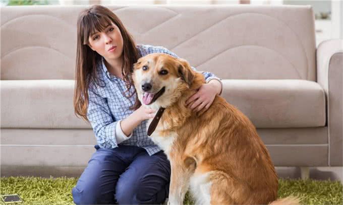 深度分析:为什么我的狗会咬我