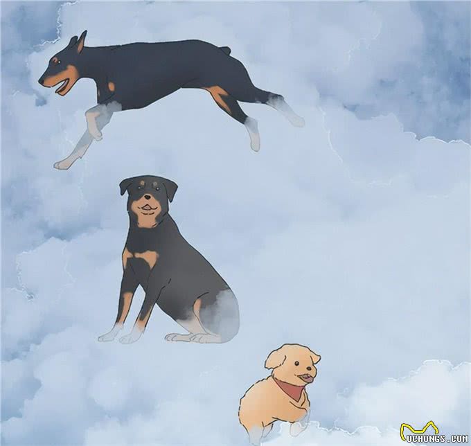 狗朝着没人的地方狂吠，是看到了什么的东西吗?