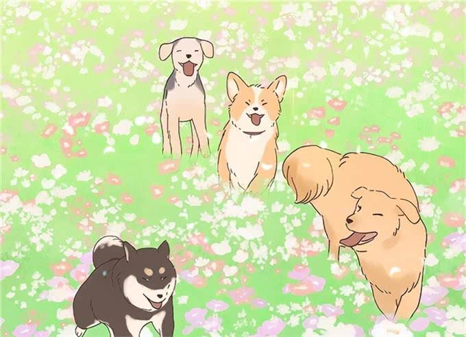 狗朝着没人的地方狂吠，是看到了什么的东西吗?