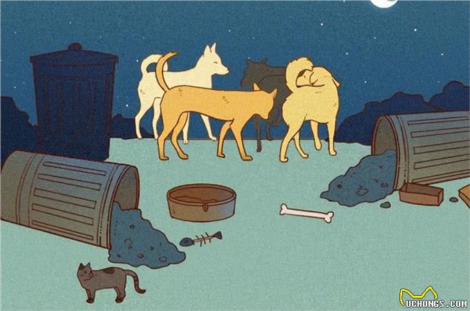 狗朝着没人的地方狂吠，是看到了什么的东西吗?