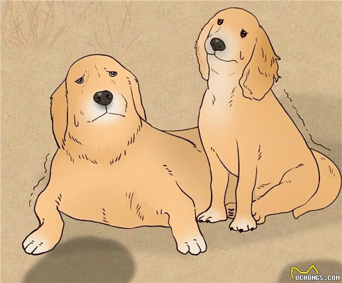 狗朝着没人的地方狂吠，是看到了什么的东西吗?