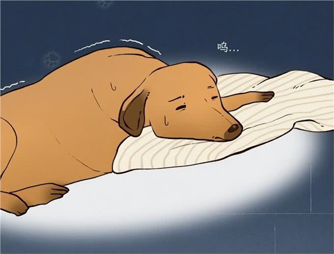 狗朝着没人的地方狂吠，是看到了什么的东西吗?