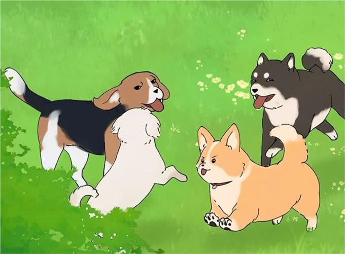 狗朝着没人的地方狂吠，是看到了什么的东西吗?