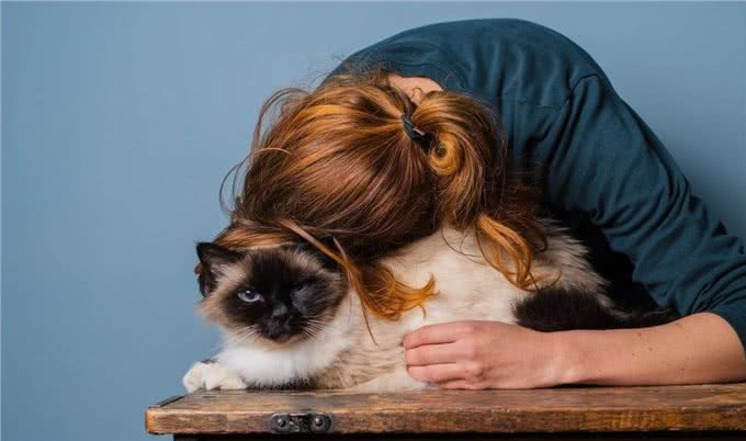 神奇猫咪:舒缓疼痛,延长寿命!