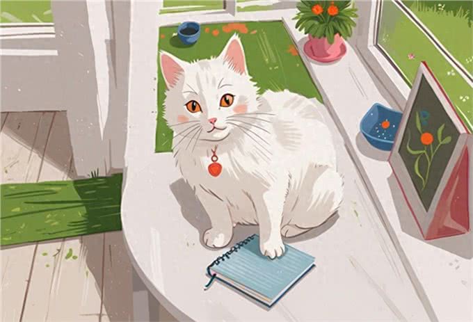 养猫久了才明白，看见人立马就躲的猫，和不躲的猫，区别竟这么大