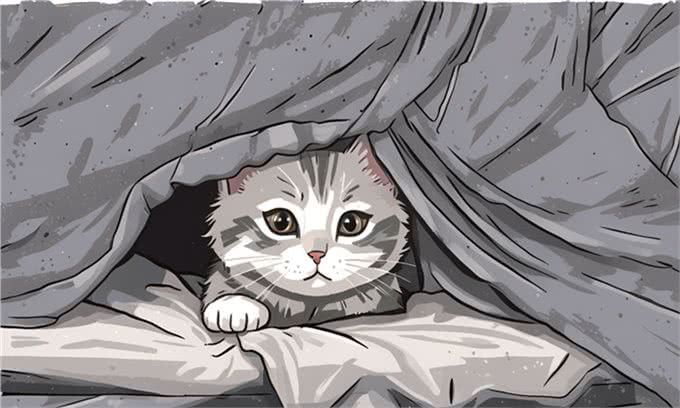 养猫久了才明白，看见人立马就躲的猫，和不躲的猫，区别竟这么大