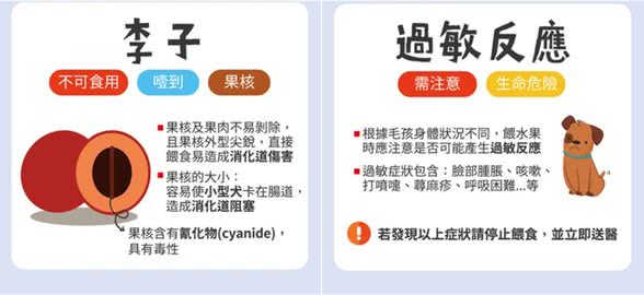 葡萄绝对是致命杀手!不可喂食狗狗的6种水果