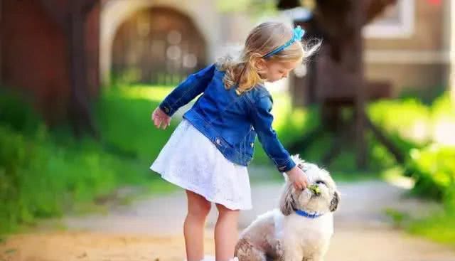 狗狗频繁打哈欠?别大意，可不仅是因为困了，还有这5种原因!