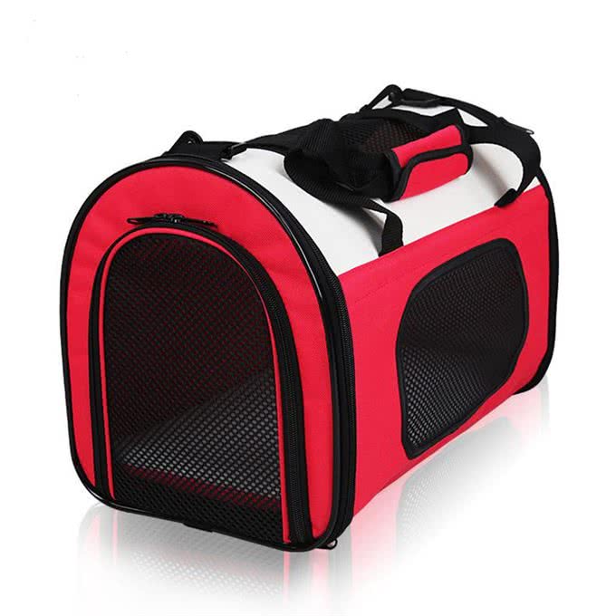 一到雨天狗狗就郁闷?你家的是不是也这样