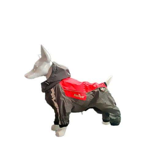 一到雨天狗狗就郁闷?你家的是不是也这样