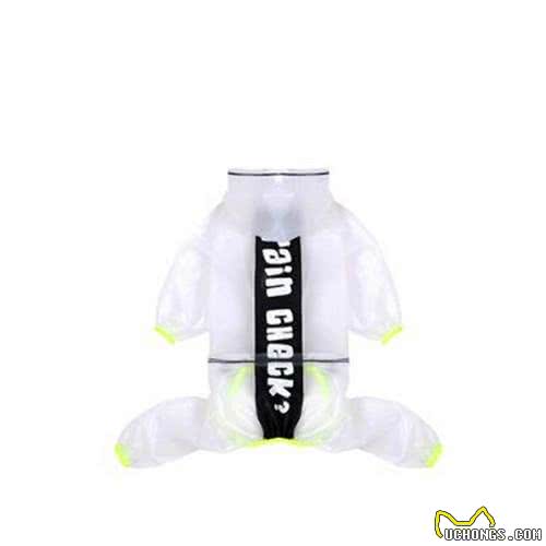 一到雨天狗狗就郁闷?你家的是不是也这样