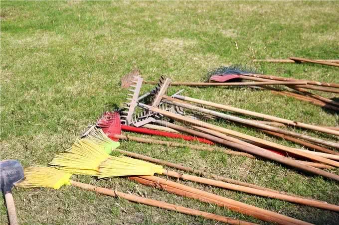 狗狗追你?学会这些,让它们不敢靠近!