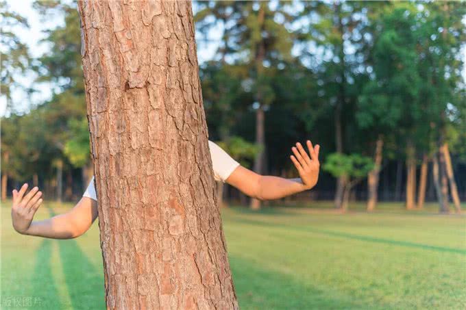 狗狗追你?学会这些,让它们不敢靠近!
