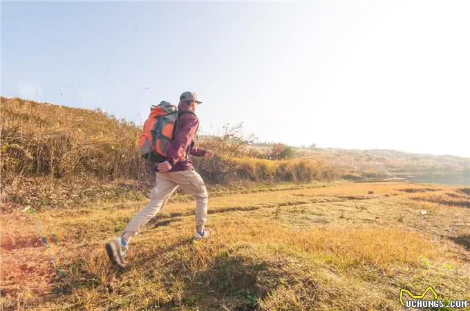 狗狗追你?学会这些,让它们不敢靠近!