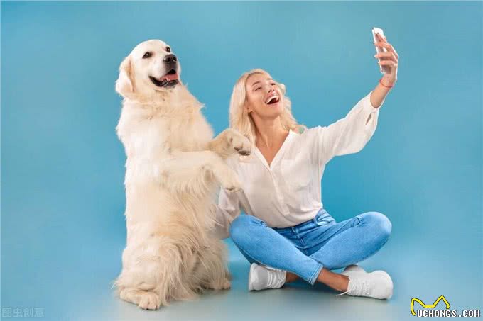 宠物医生，狗狗呕吐、不吃不喝怎么回事?