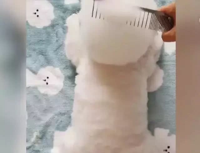 狗主人给比熊梳毛，然后发现自己饿了，奇怪这里怎么有个棉花糖?