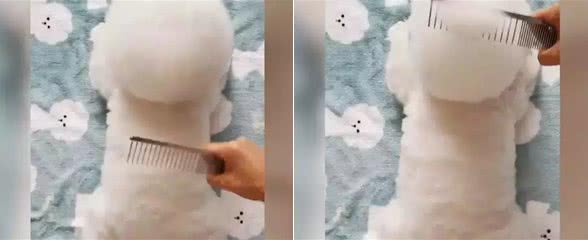 狗主人给比熊梳毛，然后发现自己饿了，奇怪这里怎么有个棉花糖?