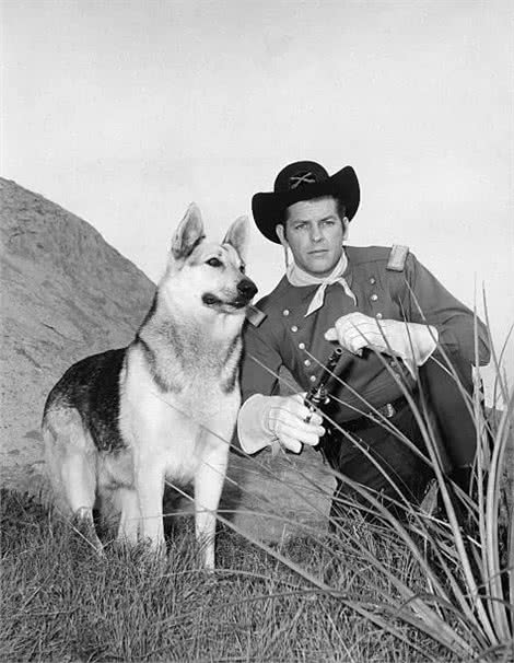 历史上最著名的7种狗