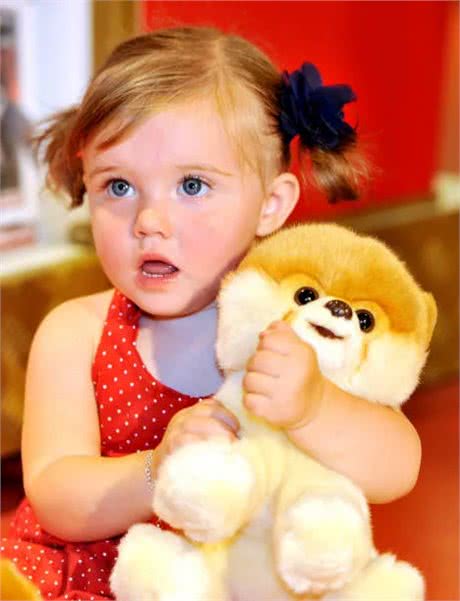 历史上最著名的7种狗