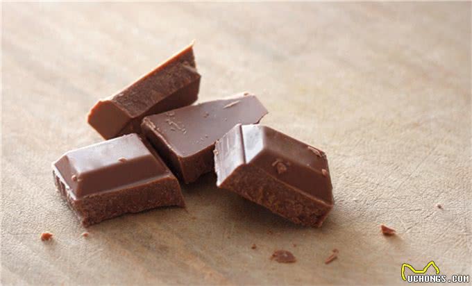 狗狗不能吃的10种东西，作为主人的你都知道吗