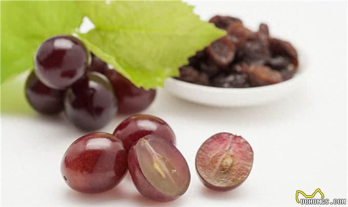 狗狗不能吃的10种东西，作为主人的你都知道吗