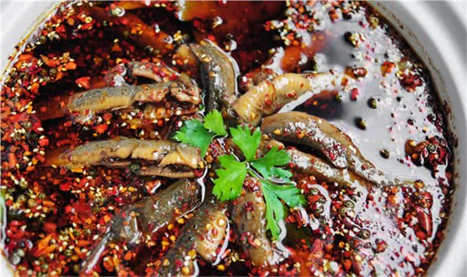 狗狗不能吃的10种东西，作为主人的你都知道吗