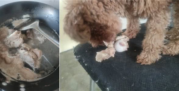 给狗磨牙还是自己煮筒骨更好也更划算