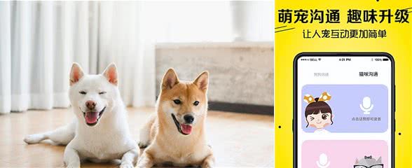 猫言狗语交流手机软件!让宠物听得懂你的话!轻松与猫狗进行交流