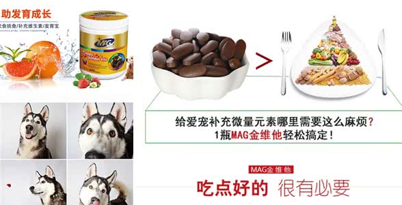 解析：狗狗成长所需的营养全在这里