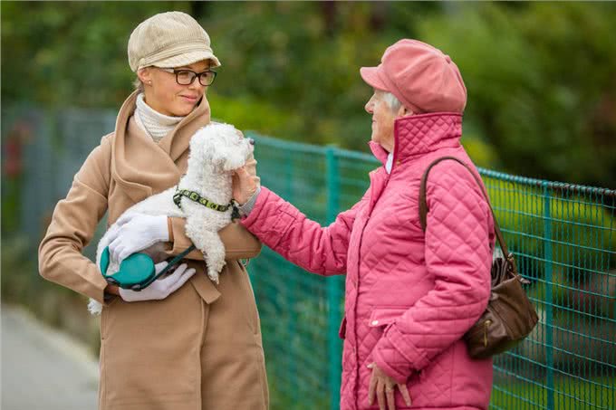 比熊犬好养吗?看看它的优缺点，就知道答案了