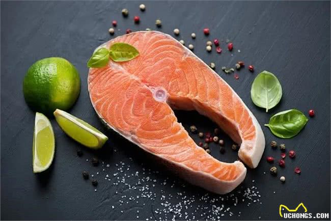 狗狗缺钙怎么办?查收这份攻略