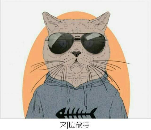 最值得养的狗狗之边牧，双商高没得挑!