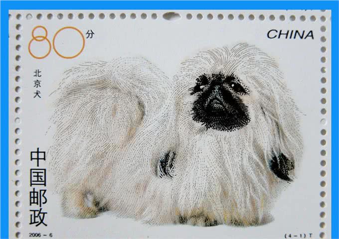 风靡世界的中国名犬，你知道多少?