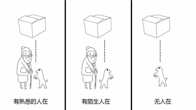 狗为何比其他动物更能与人亲近?这成了它们与生俱来的能力