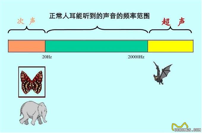 狗真能看到人看不到的东西?澳男子监控中看到狗和透明狗玩耍