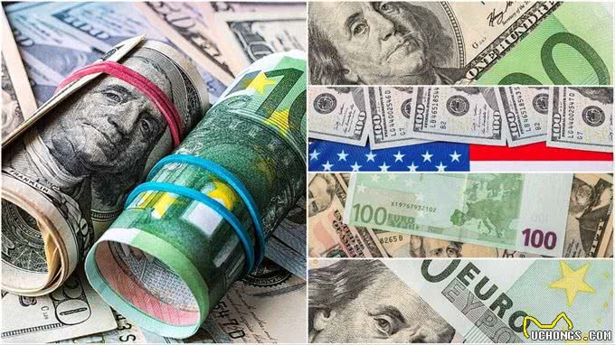 今年宠物价格飙升，购买数量大增，是不是贫穷限制了我的想象