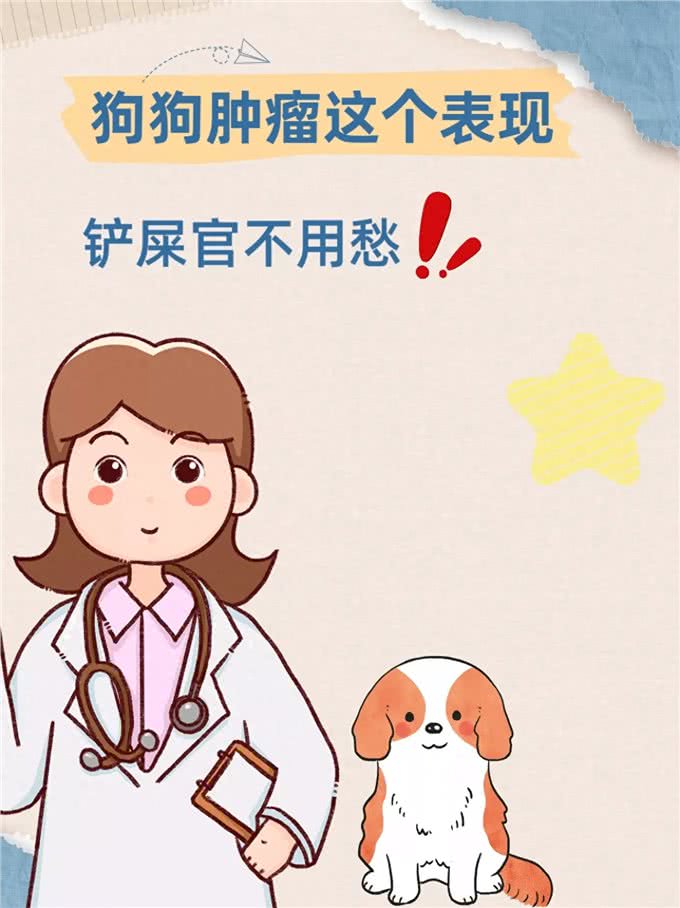 狗狗肿瘤有这个表现，铲屎官不用愁