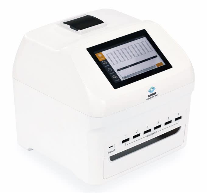 狗的甲状腺问题：这些是你需要知道的