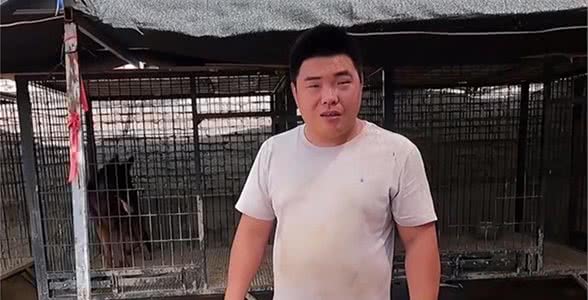 全网人仗狗势第一人，豫西小丁治理狗场的秘诀竟是一只罗威纳?
