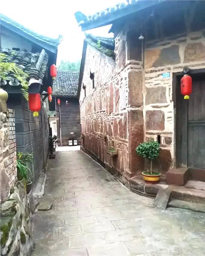 养狗的人，一定要记住狗名吗?