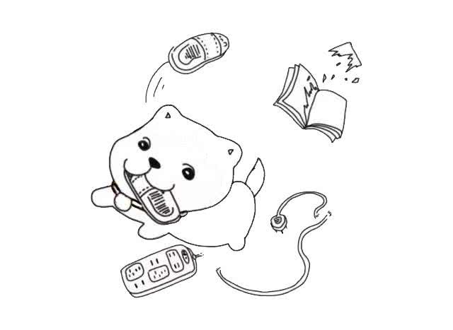 狗为什么会磨牙?作为新手铲屎官，你需要了解这几点